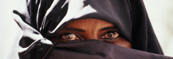 ������ � ������