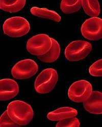 ������ � ��������