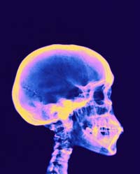 ������ � ��������