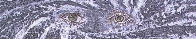 � �������� - ��� ������� - ��� ����...