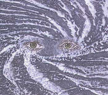 � ����������