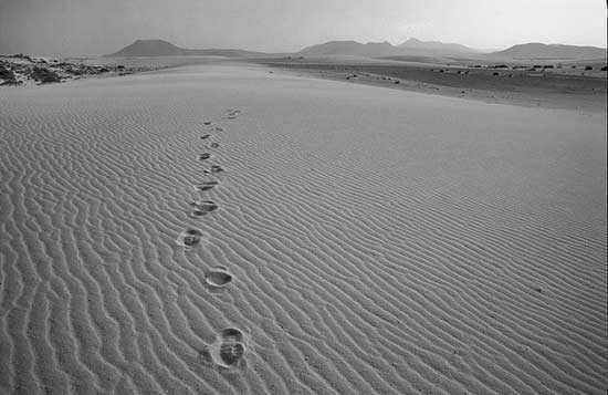 � ��� ���� �� �����