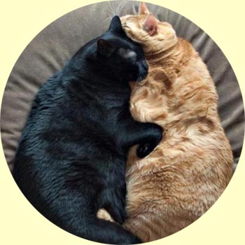 ������ ������ 3 - ������ ���� ������