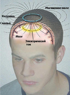 ���������������� ��������� ����������