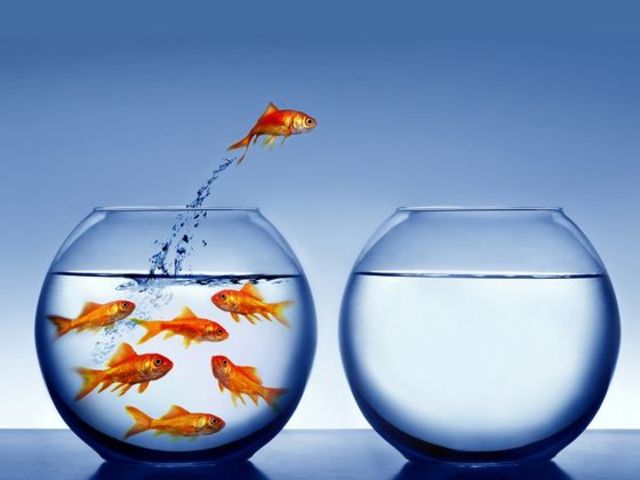 ����������� � ����������