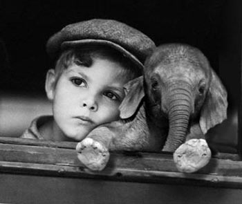 ���. ���. ������ �������