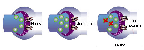 ��� �������� ���������������?