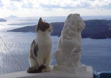 ������ - ��������� (��������). ����� � ���������