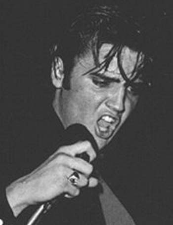 ����� ������ 