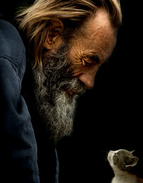 ������� ������� �����