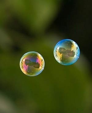 Вылетит трепещущий лепесток всеторжествующей жизни