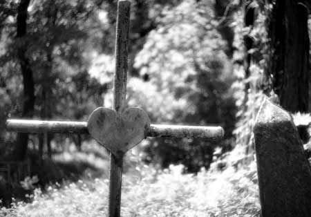 ������ � �����