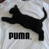 ������ �� ������� ���� (Puma)