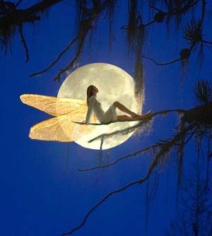 ���������� ����������