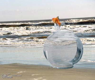 ������ ���