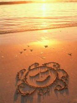 ��������� ���� � ������