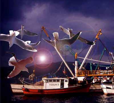 ��������� ��� ���� ����, ������ �����