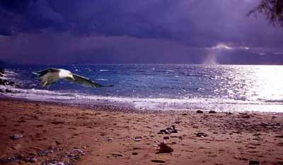 ����� �� ����������� ����� �� ������� � �� �����...