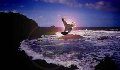 ��� �������� ���� ������ ������ �� �����, ����������� ������ ������� ��������