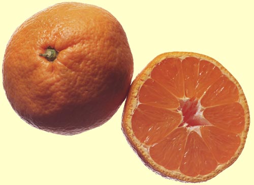 ������ � �������