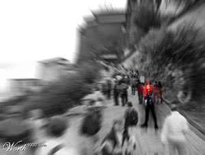 ����������