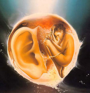 ����� ������, ��������