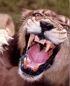 � ������ ������ ��� ����, ��� ������ ��� ���������� ���������