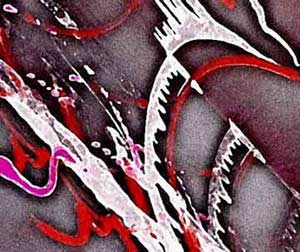 �������