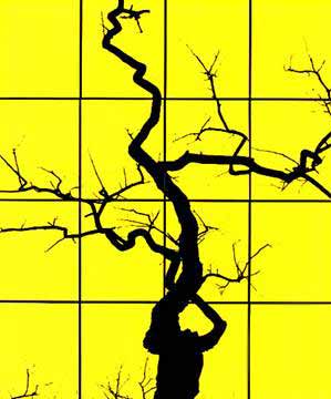 ����� ����� ����� ������� �� �����