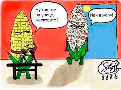 � ����� ���� ��� �����