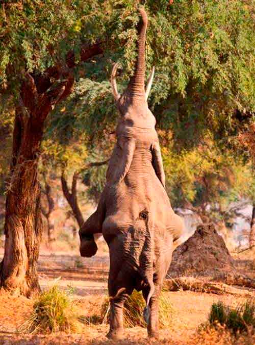 �������� � ����� �����