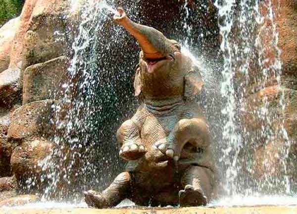 � �� ����������� ������ �������������