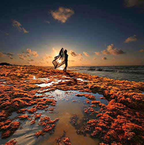 ������ �������...