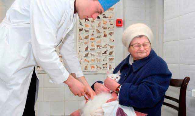 ������ ����������