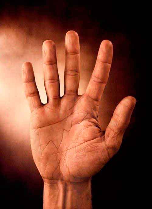 ����� ���� ������ ������