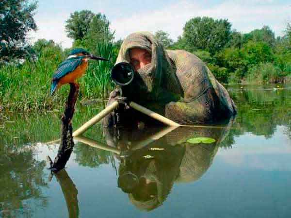 ������ �����������