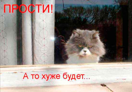 �������� ����, �� ���� �� ������� ... ����� ������