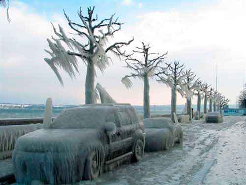 ...����� ���� ��� �������.