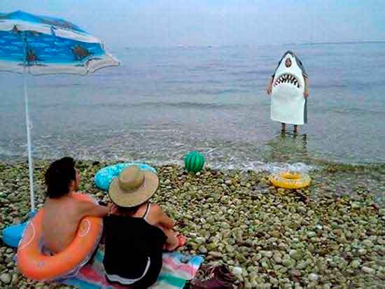 � ����� �������� ����� ����� �����...