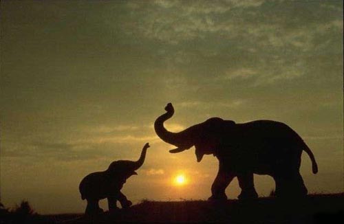 ������� i ������ ����