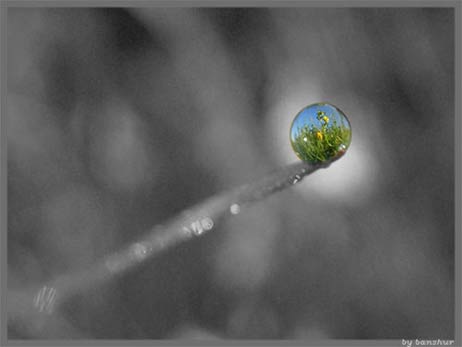 ���������� ���������