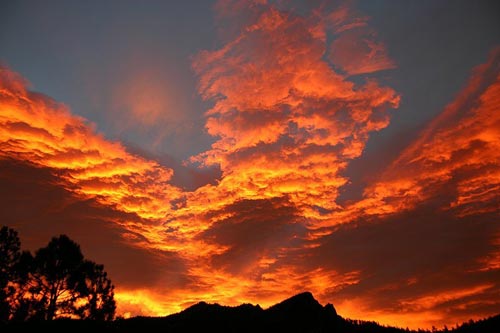 ...� �������� ������