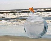 ������  �������